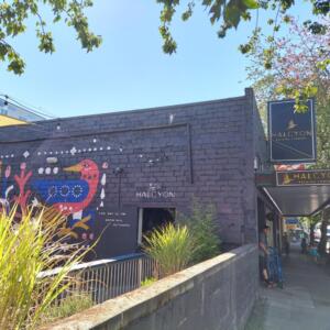 Halcyon Brewing