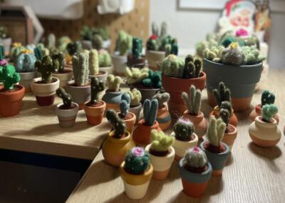 Night Creature Market