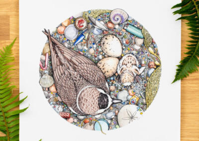 Laurel Mundy illustration